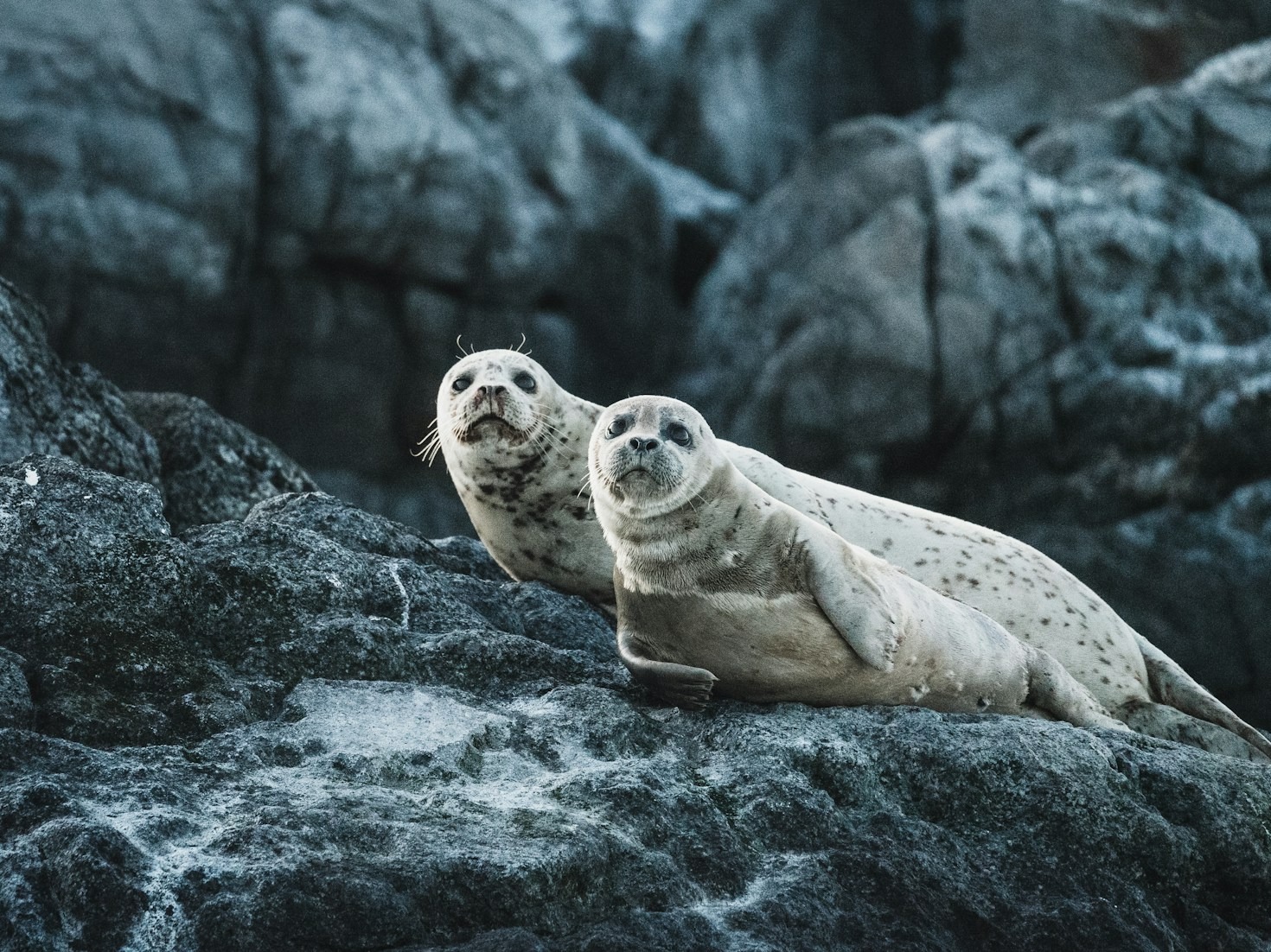 Innovations in Sealing Technology: What You Need to Know